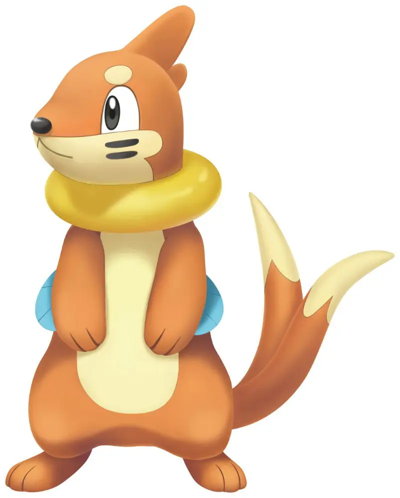Buizel