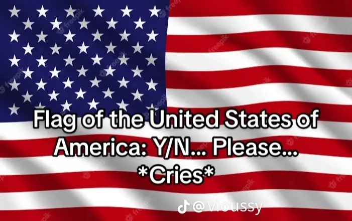 American flag (you read that right.)