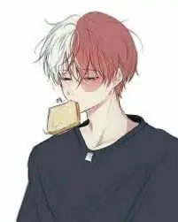 Shoto todoroki