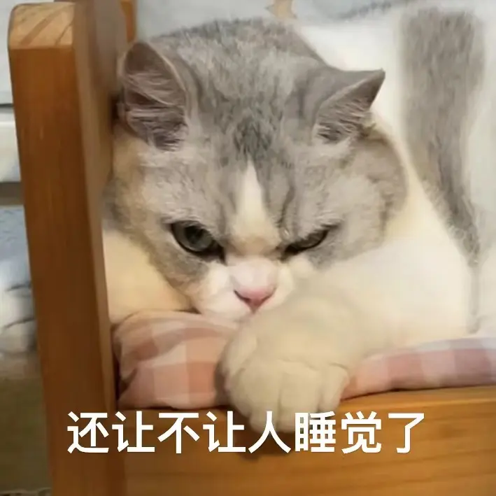 贲帛
