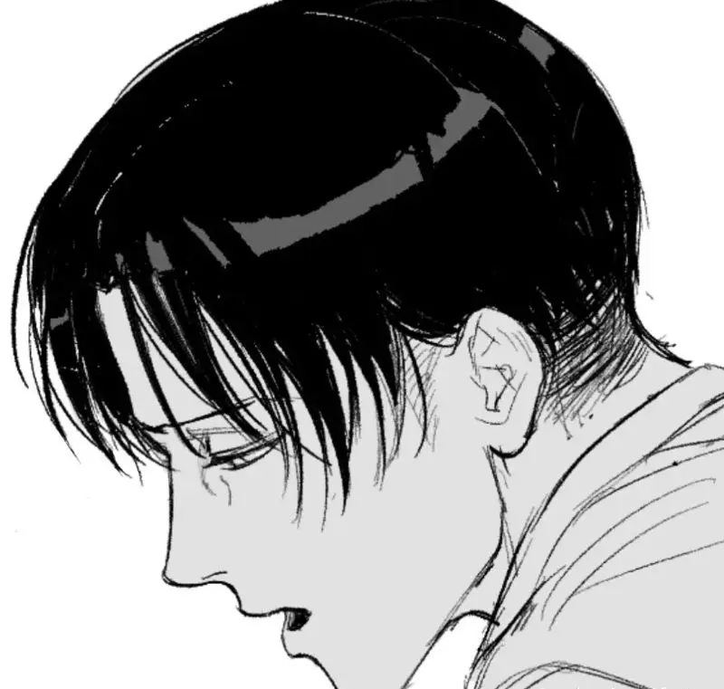 Levi Ackerman 