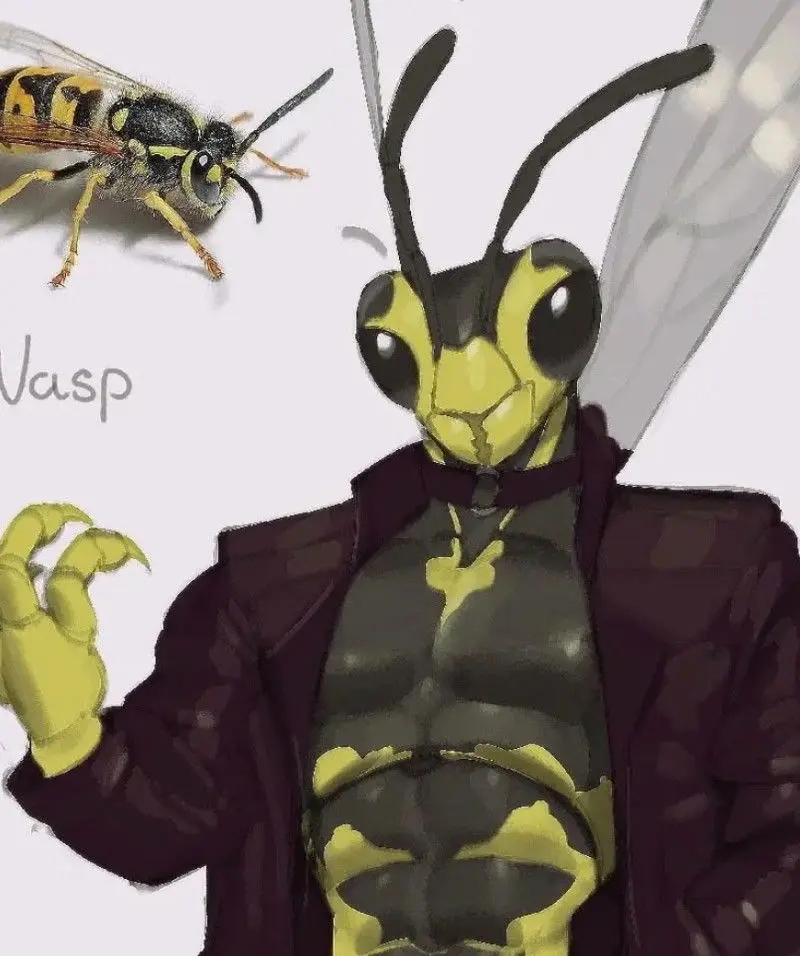 Wasp