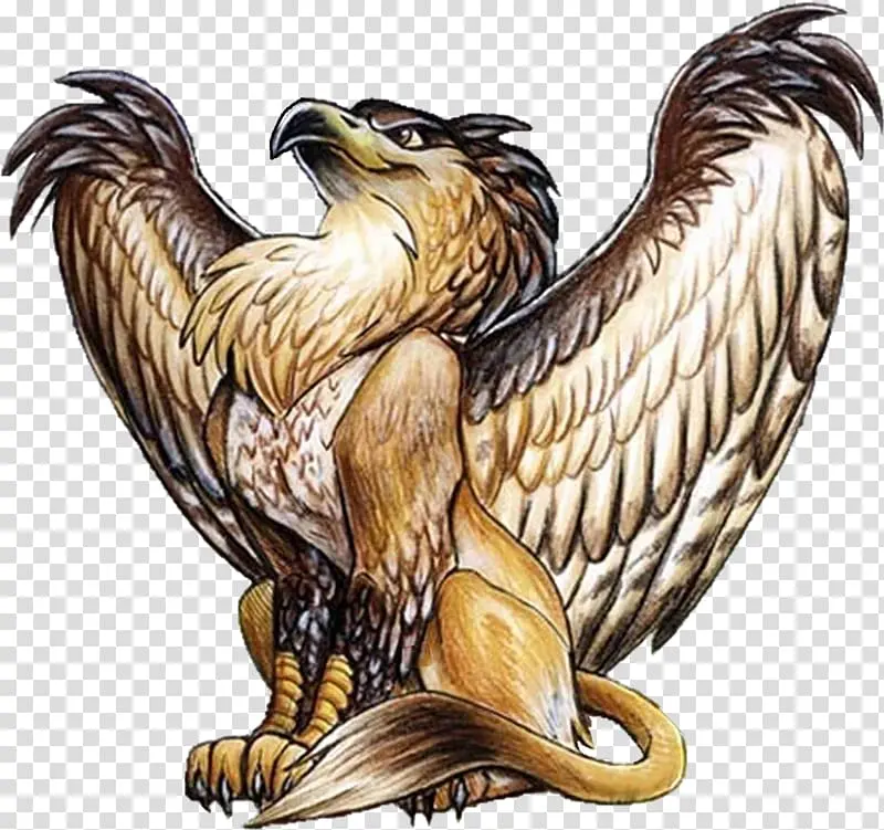 Fenyx 