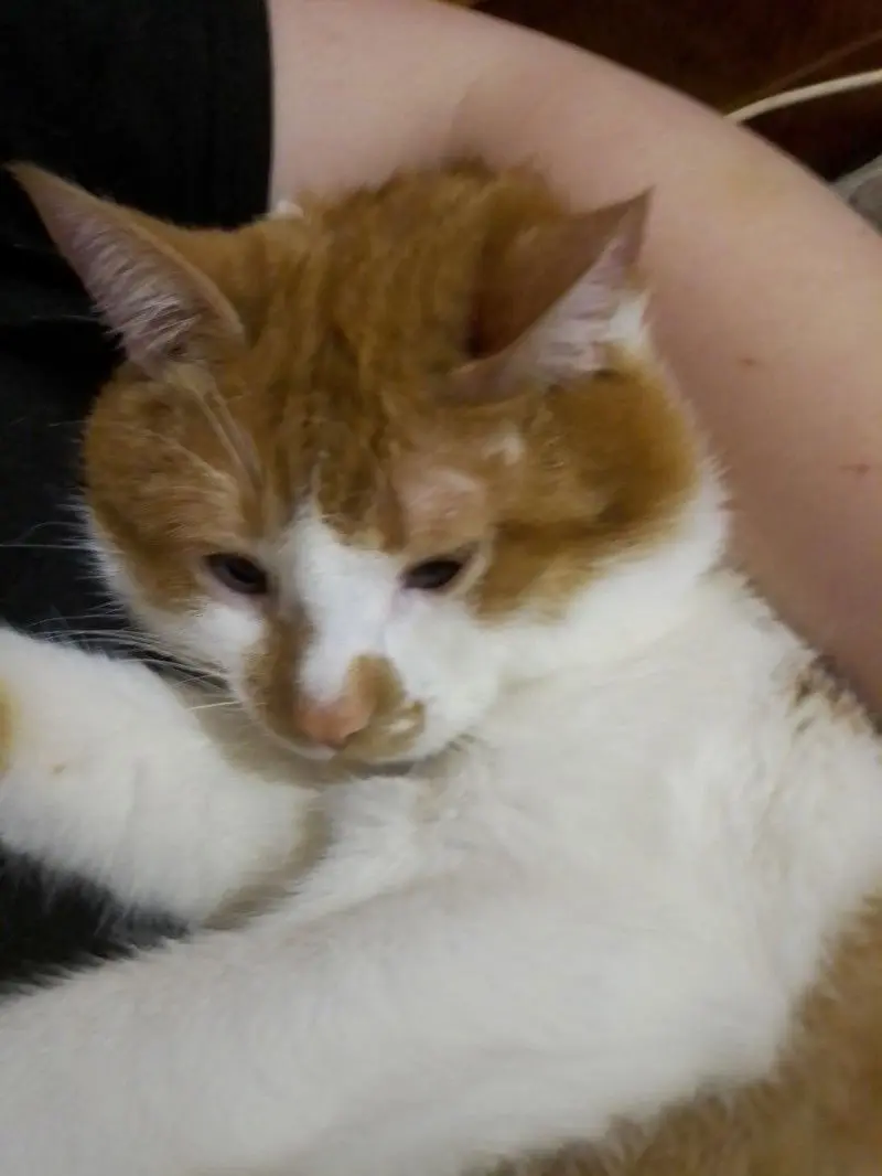 William 
