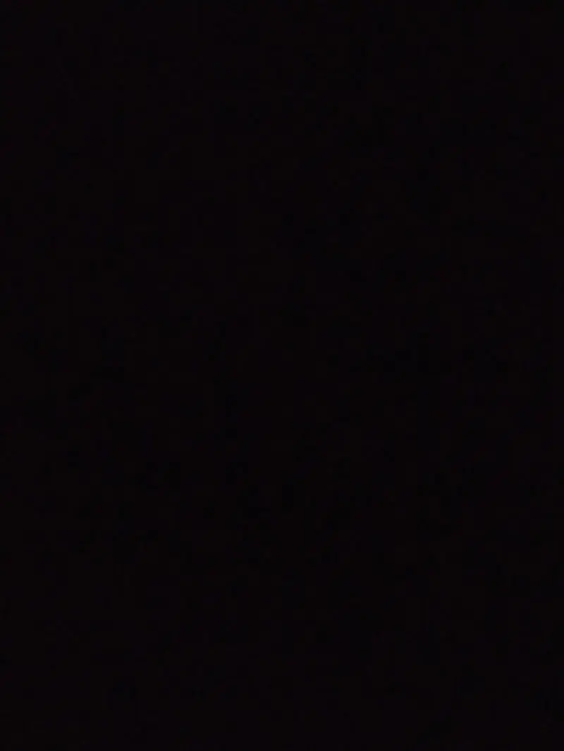 jotaro kujo (single father)