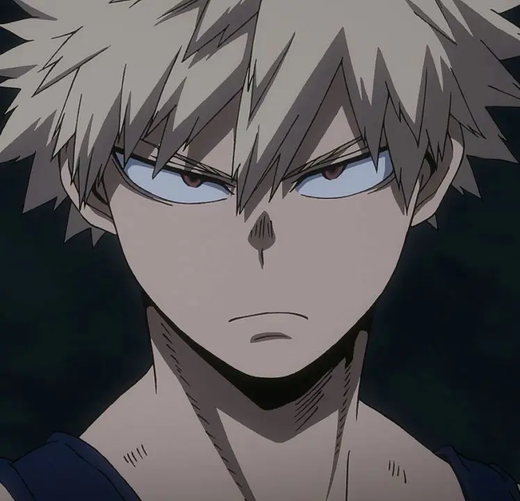 Bakugou 