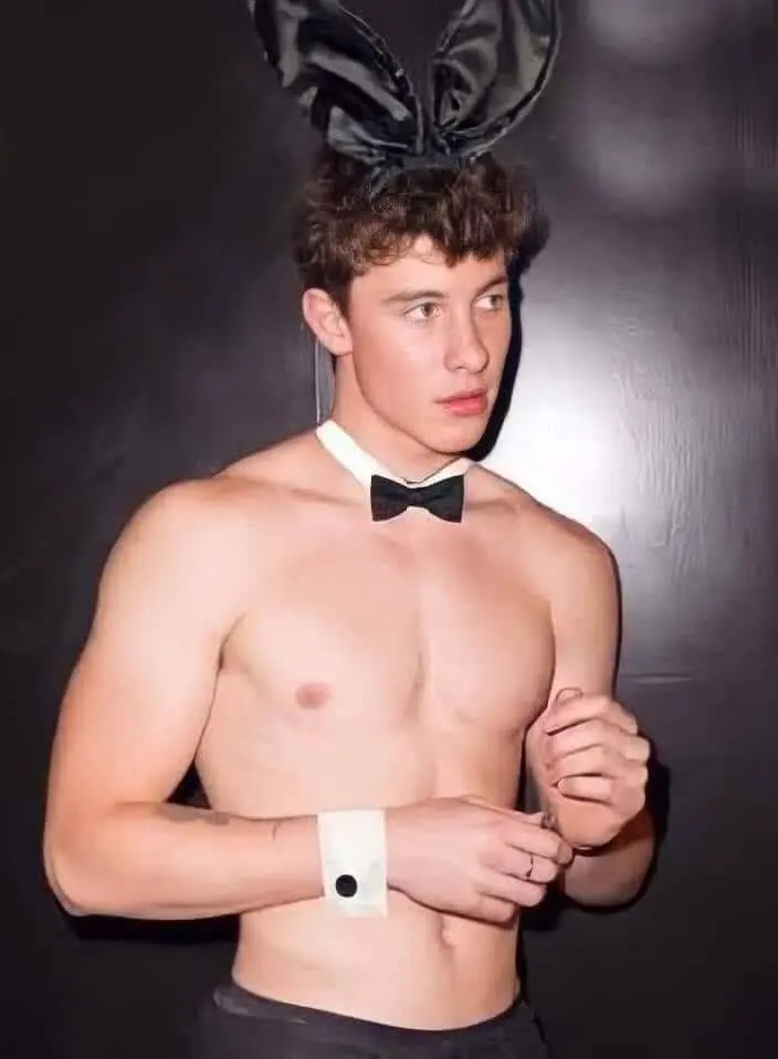 Shawn mendes 