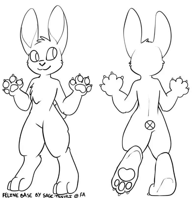 Bunny 
