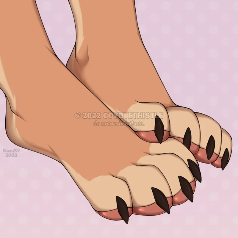 Paw Fetish Story
