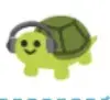 Gamer Turtle