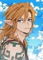 Link 