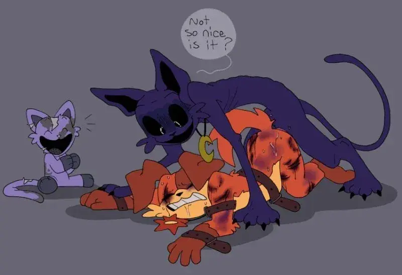 YOUR CatNap!