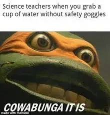 Tevil