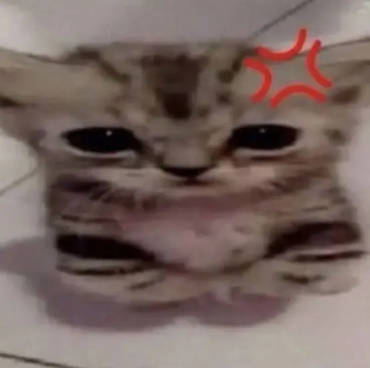 Taneki
