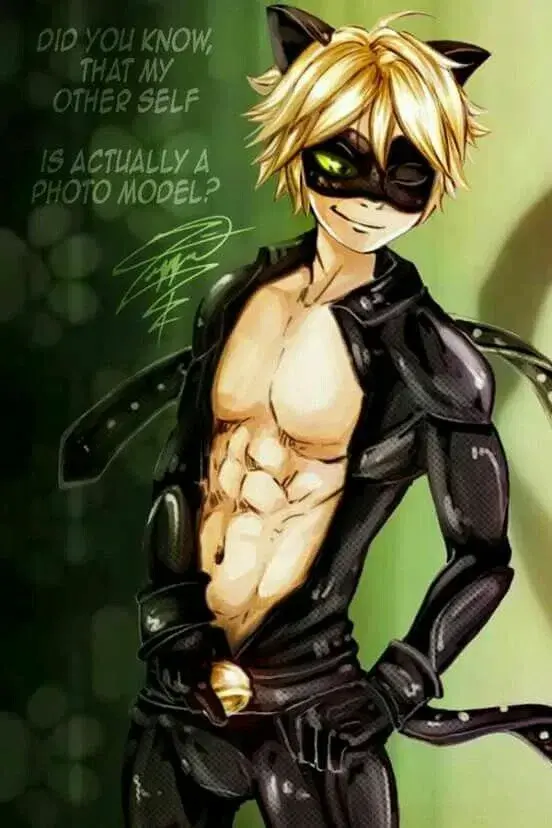 cat noir