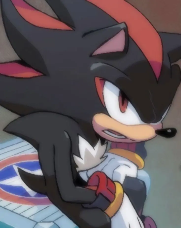 Shadow the Hedgehog 