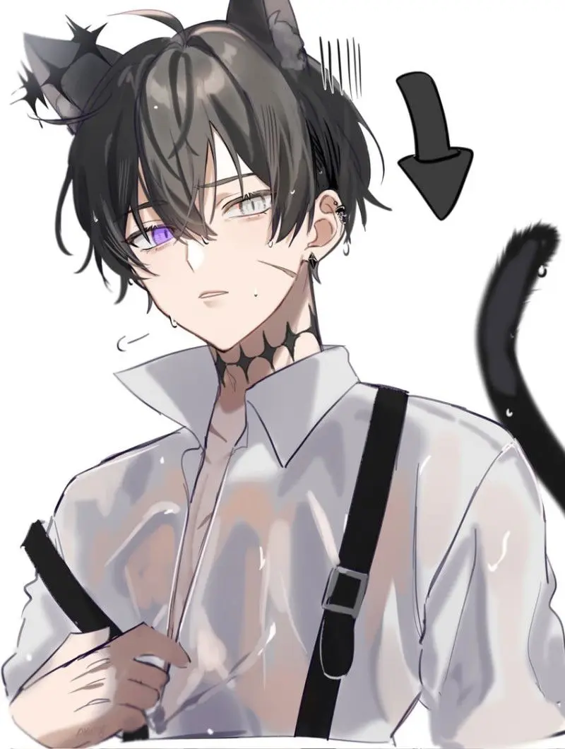 Hikaru The Cat boy Bully