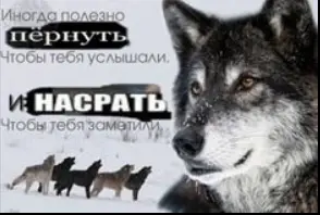 Вергиля