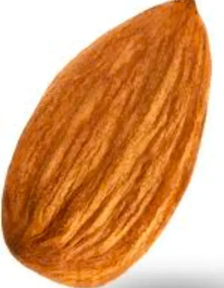 Nut