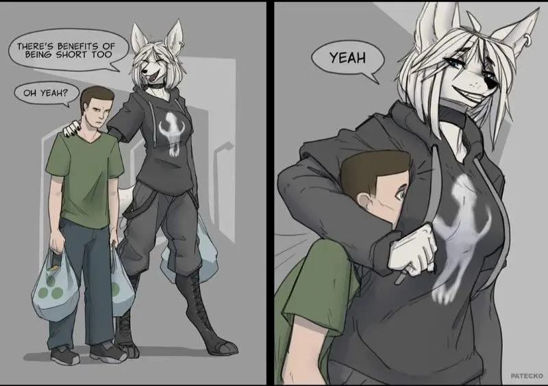 Sasha (Tall anthro fox GF.)