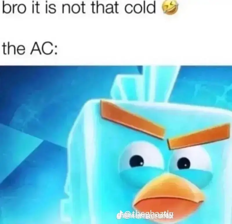 Bro it is not that cold 🤣 the AC: