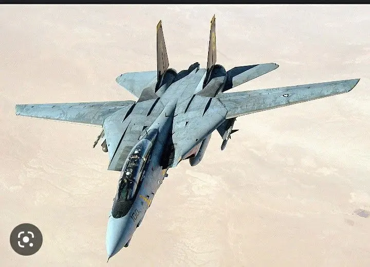 The Grumman f14