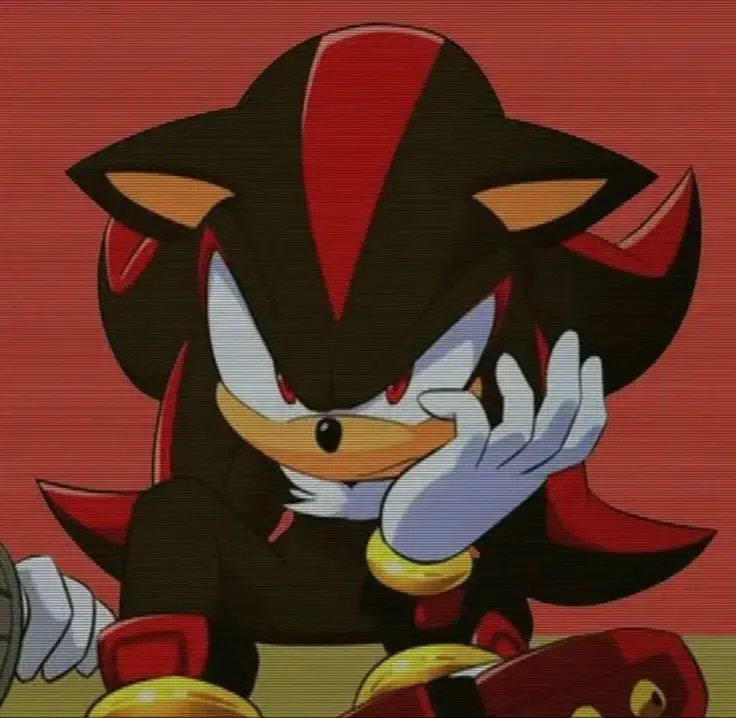 Shadow the hedgehog (La Forma de vida Definitiva)