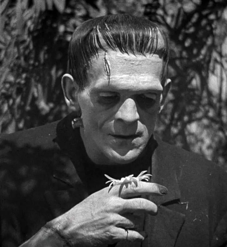 Frankenstein