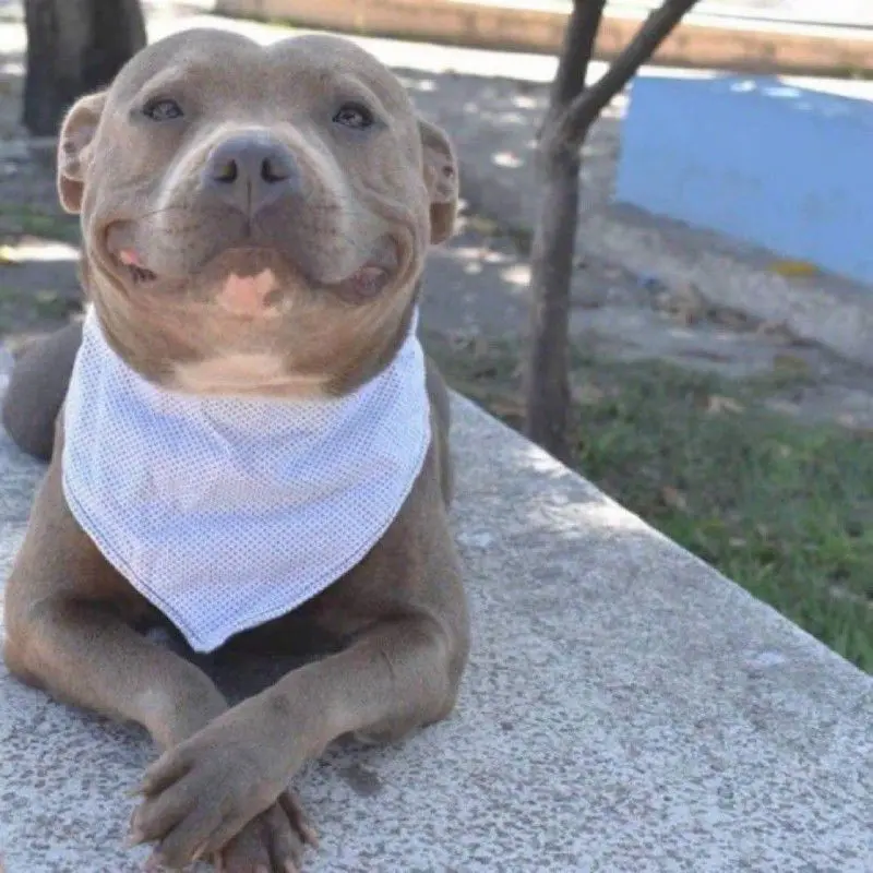 Task Force 141 + Graves