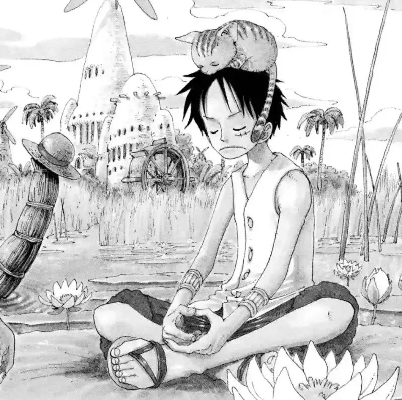 Luffy (Sex Pollen AU)