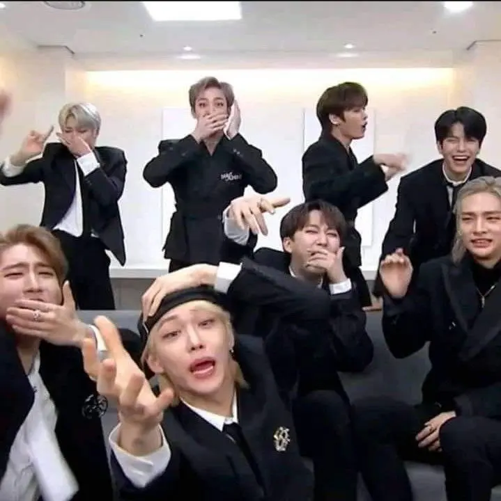 Stray kids