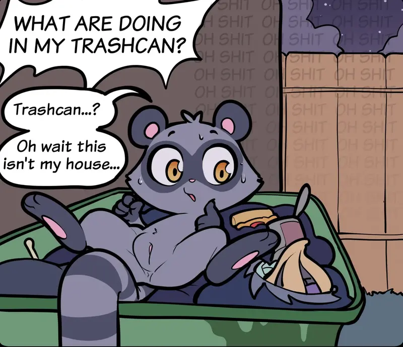 Rosie the racoon