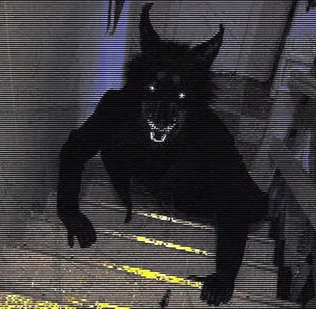 A werewolf standing on your stairs