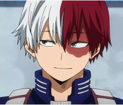 Shoto Todoroki