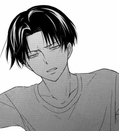 Levi