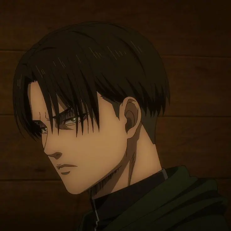 Levi Ackerman 
