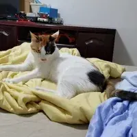 zzzzz