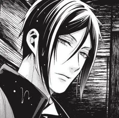 Sebastian Michaelis 